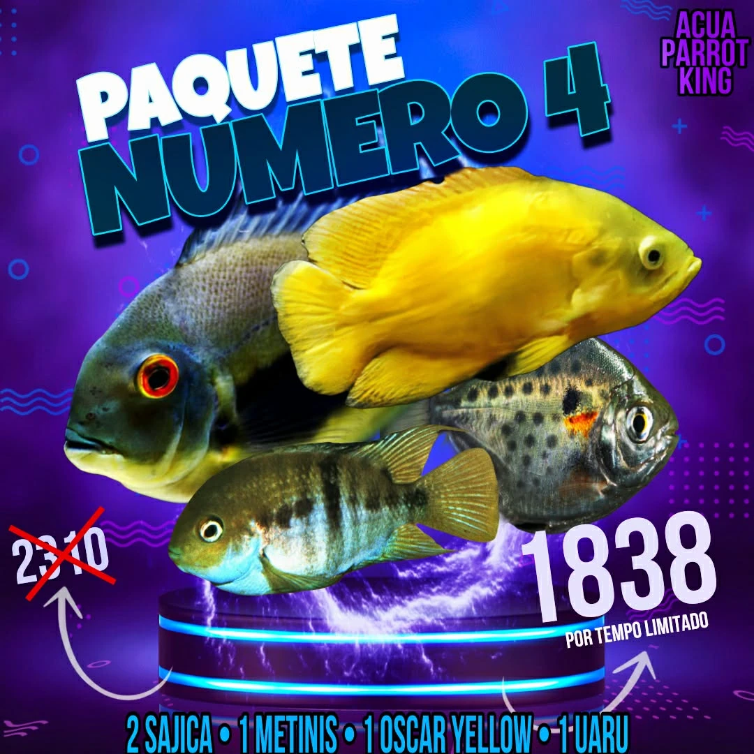 🌟 Paquetes promocionales